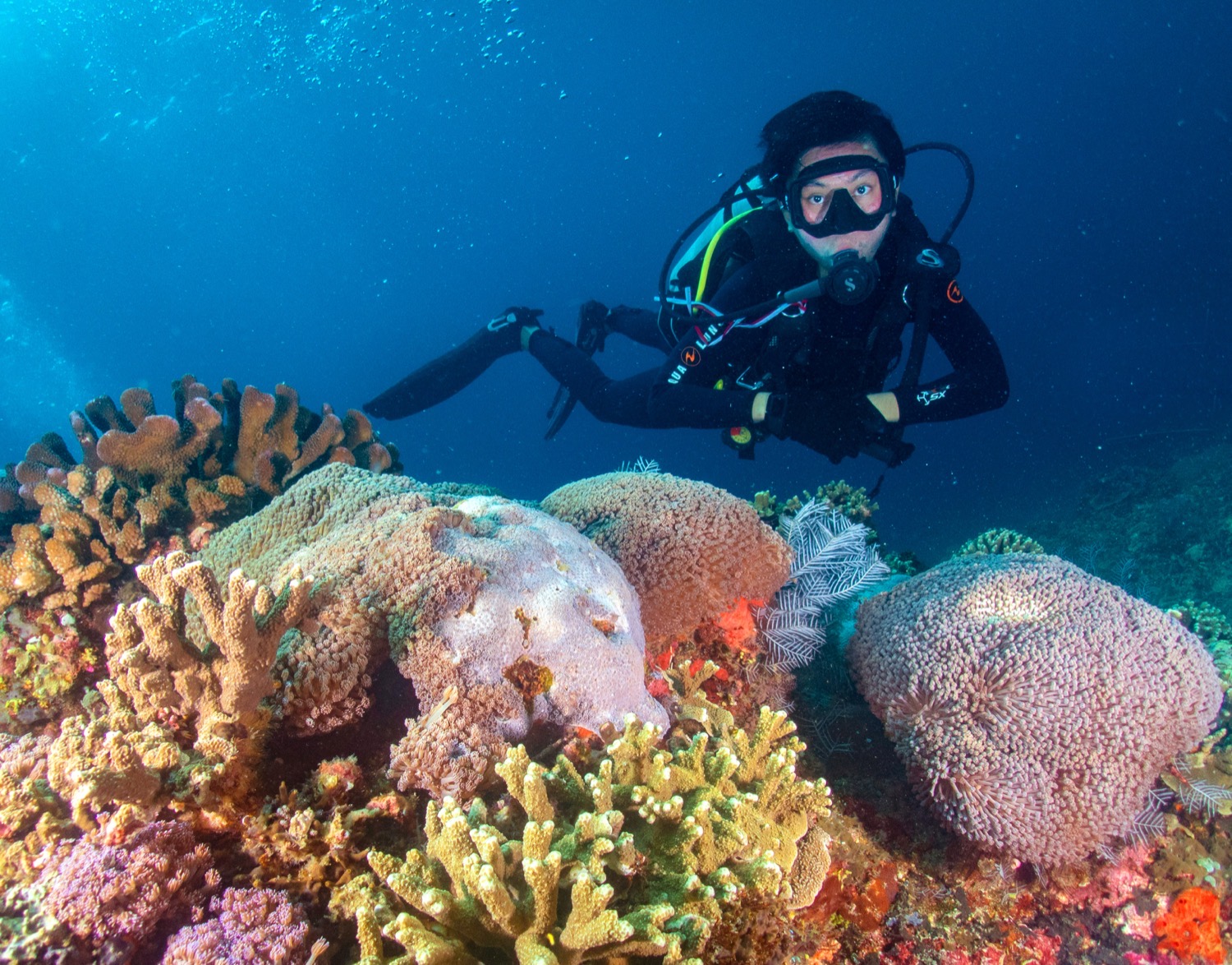 Adryan Putra diving